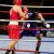 Evenements � Boxe WBC - 7 Novembre 2010